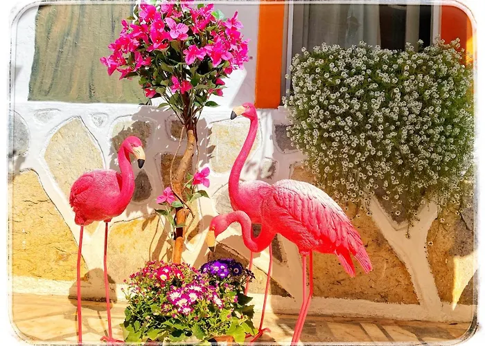 Hotell Sade Bodrum