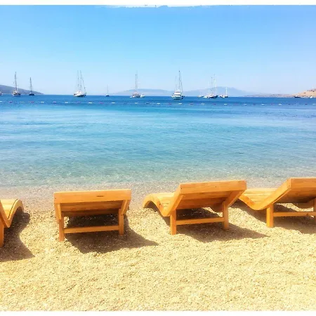 酒店 博德鲁姆萨德民宿酒店 博德鲁姆