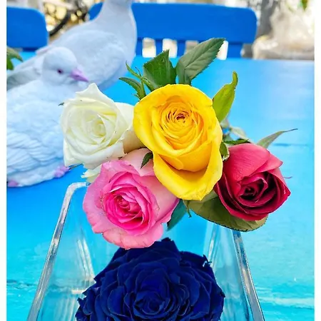 Bodrum Sade Otel Otel