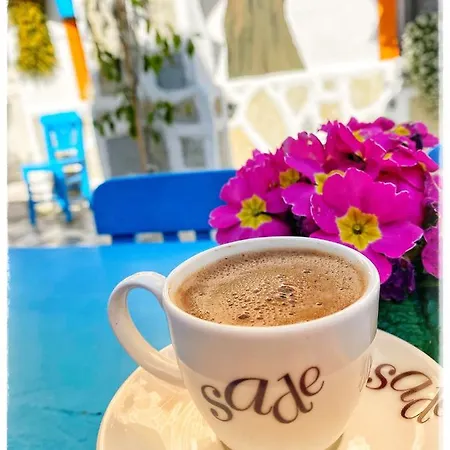 Otel Bodrum Sade Otel