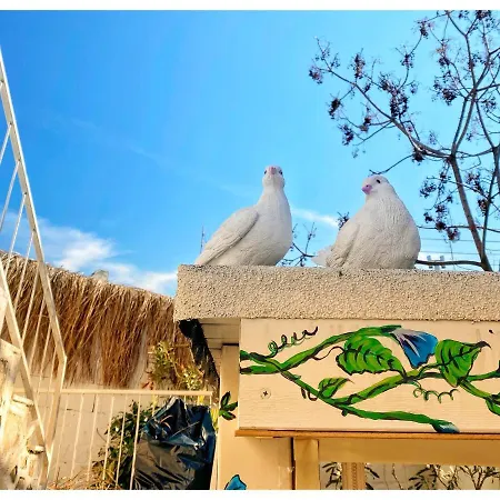 Bodrum Sade Otel * Bodrum