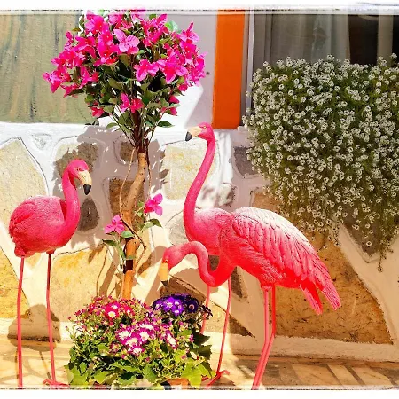 Otel Bodrum Sade Otel Bodrum