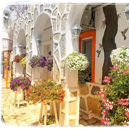 サデ ペンション * ボドルム