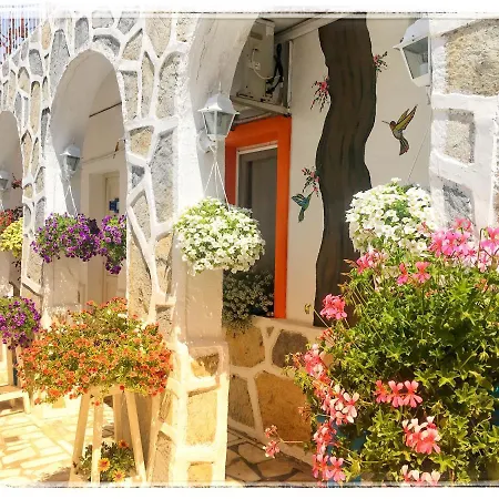 サデ ペンション ホテル *