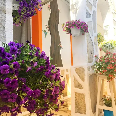 サデ ペンション